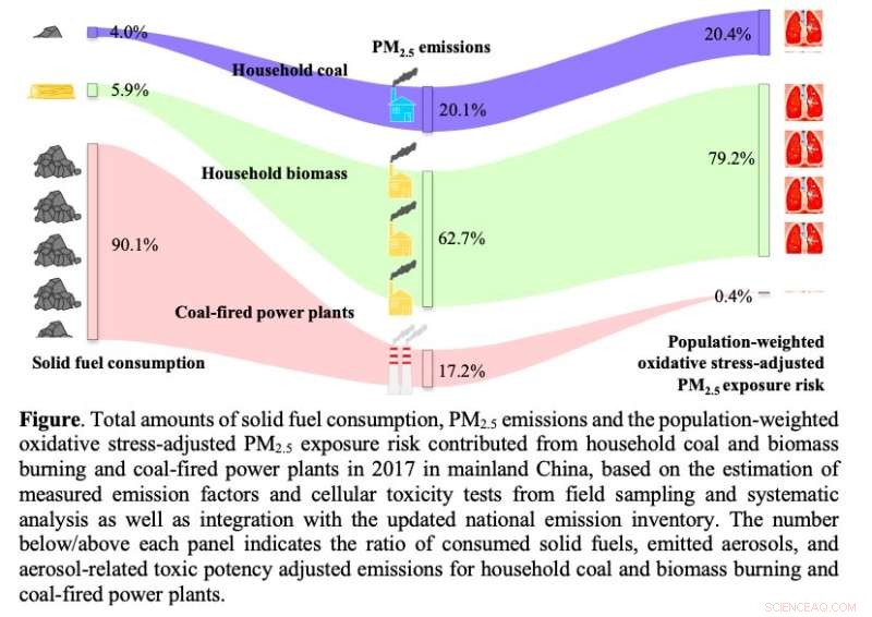 Study Reveals Higher Toxicity in Home Stove Smoke Compared to Power Plant Emissions