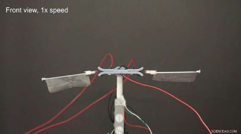 Breakthrough: Electromechanical Zipping Powers Insect-Sized Flying Robots Without Motors