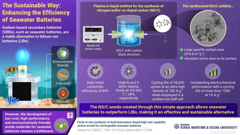 Breakthrough: Novel Co-Doped Carbon Anode Boosts Seawater Battery Performance