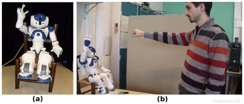 Study Shows Humans Unconsciously Synchronize Movements with Robots