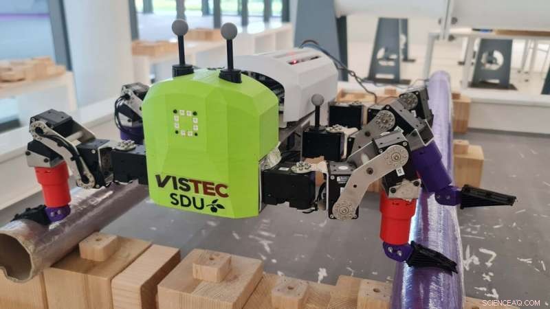 Insect-Inspired Robot Grippers: Enhanced Mobility and Adaptability