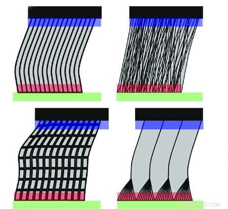 Insect-Inspired Robot Grippers: Enhanced Mobility and Adaptability