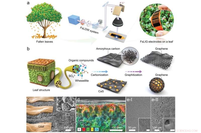 Sustainable Micro-Supercapacitors from Fallen Leaves: A Novel Energy Storage Solution