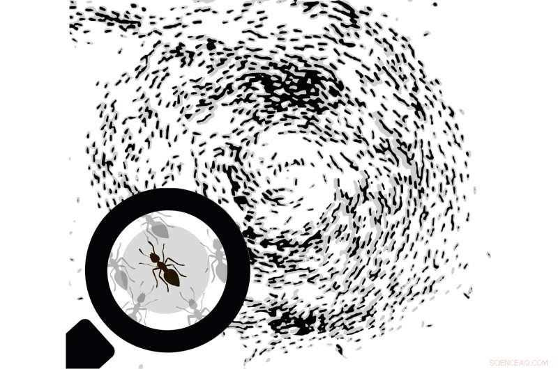 Artificial Intelligence Solves the Mystery of Animal Swirling Behavior