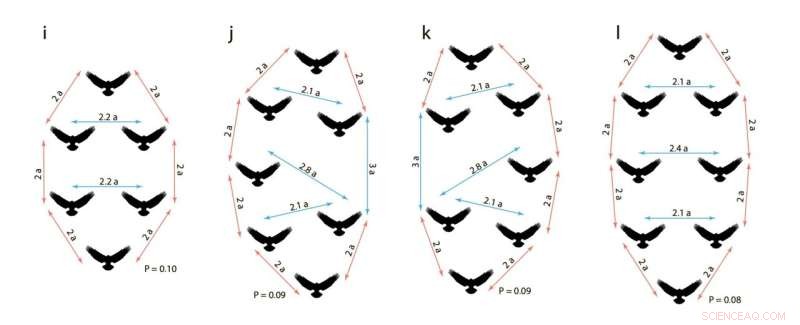 Artificial Intelligence Solves the Mystery of Animal Swirling Behavior