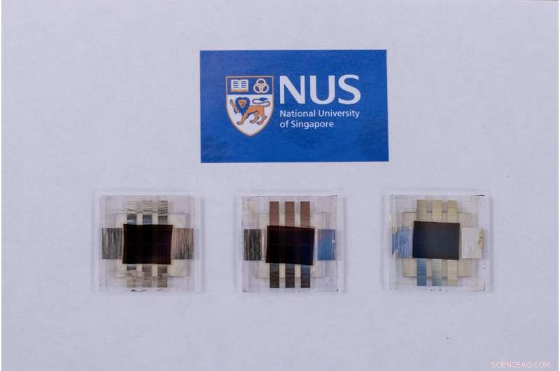 NUS Research Team Achieves Record 23.6% Efficiency in Perovskite-Organic Solar Cells