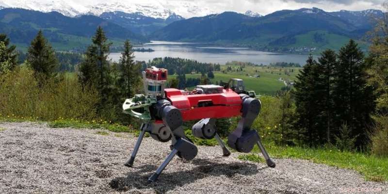 ANYmal Robot Conquers Mount Etzel with AI-Powered Hiking