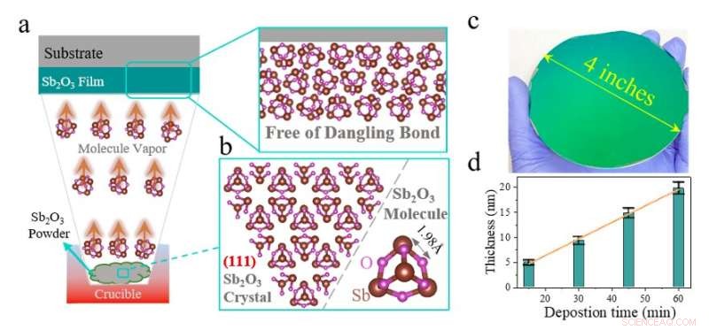 Wafer-Scale Sb2O3 Dielectric Film via STED Fabrication