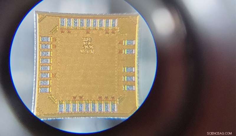 Brain-Computer Interfaces: Advancements and Future Potential