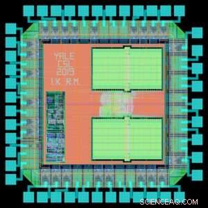Brain-Computer Interfaces: Advancements and Future Potential
