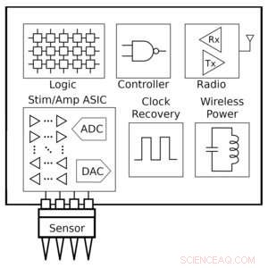 Brain-Computer Interfaces: Advancements and Future Potential