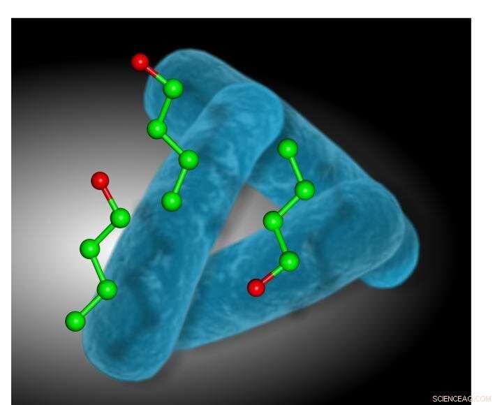 Advanced Biofuel Research: Bioreactors & Engineered Bacteria for Cost-Effective Production