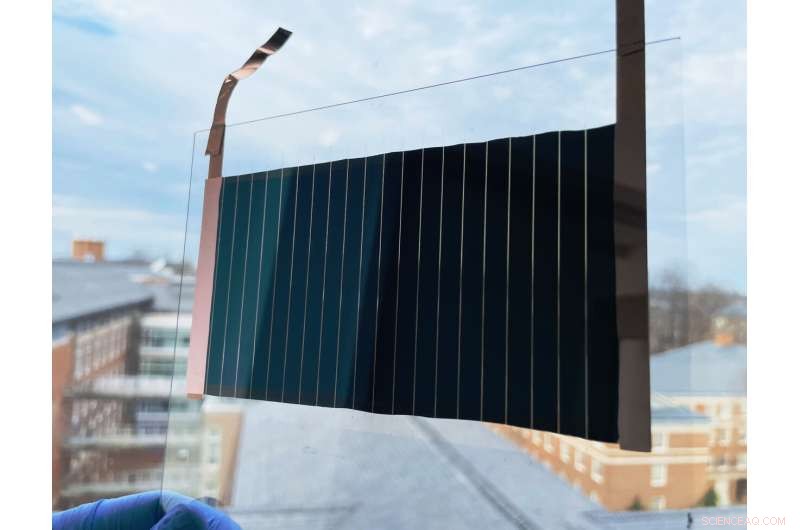 New Insights into Chemical Defects Causing Trap States in Metal Halide Perovskite Solar Cells