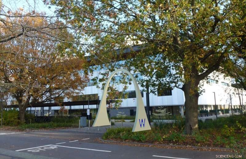 Nature-Inspired Arch Bridges: Warwick s Constant Stress Design for Superior Robustness