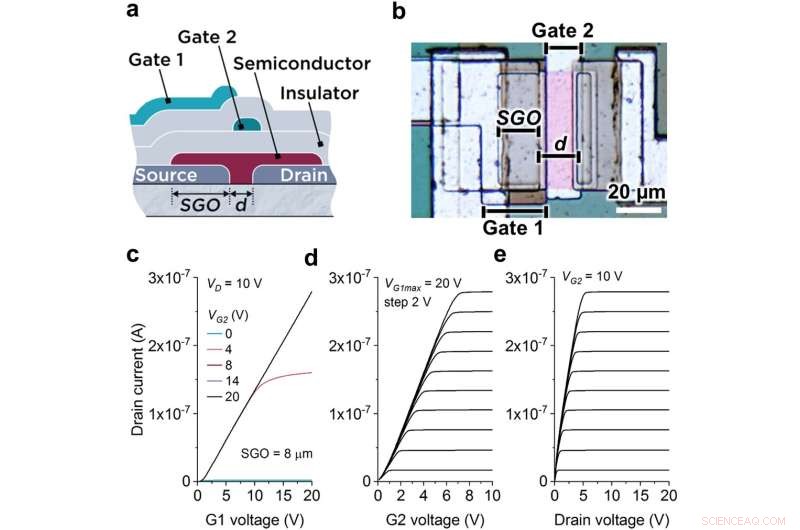 Breakthrough Multimodal Transistor Enhances Artificial Neural Network Efficiency