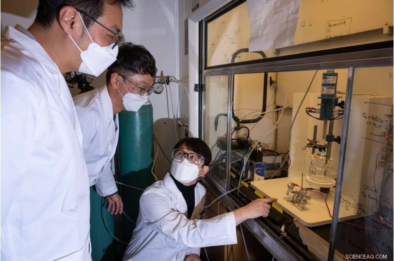 Breakthrough Catalyst Enhances Green Hydrogen Production Efficiency