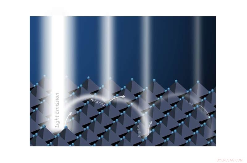 Photon Recycling: Essential Mechanism for High-Efficiency Perovskite Solar Cells