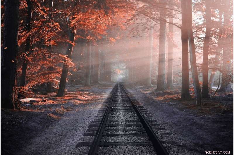 Advanced On-Board System for Instant Detection of Rail Hazards and Contaminants