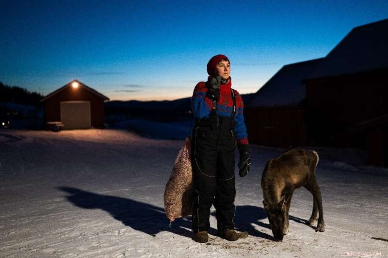 Lapland Wind Turbine Conflict: Sami Reindeer Herders Defend Ancestral Lands