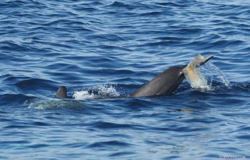 Robots and Bubbles: Revolutionizing Underwater Litter Cleanup