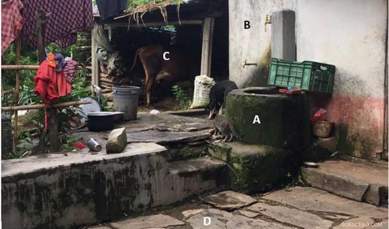 Breaking Cultural Barriers: Study Investigates Domestic Toilet Waste-to-Biogas Technology Adoption