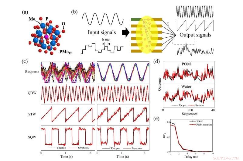 Reservoir Computing with Liquids: How Simple Fluids Enable Complex Calculations
