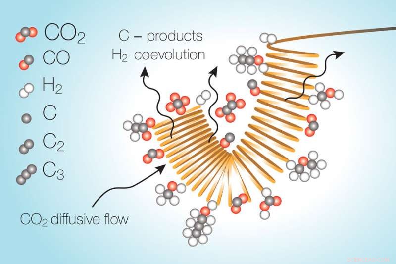 MIT Research Exposes Key Limitations in CO2-to-Fuel Conversion and Solutions