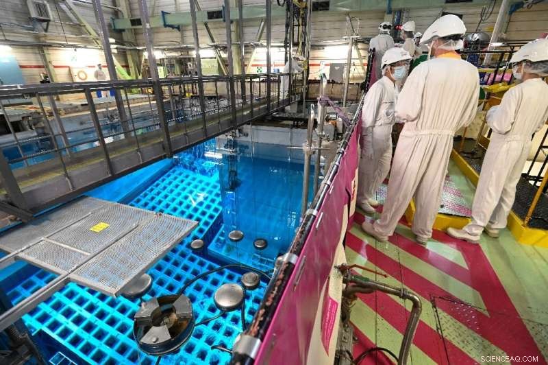 EU Requires €500 Billion Nuclear Power Investment by 2050, Commissioner Confirms