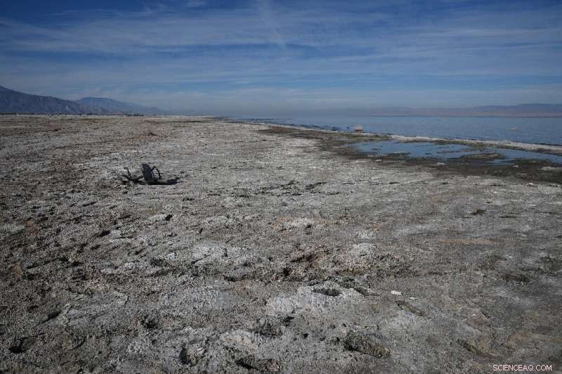 Lithium Extraction: A New Hope for California s Dying Salton Sea