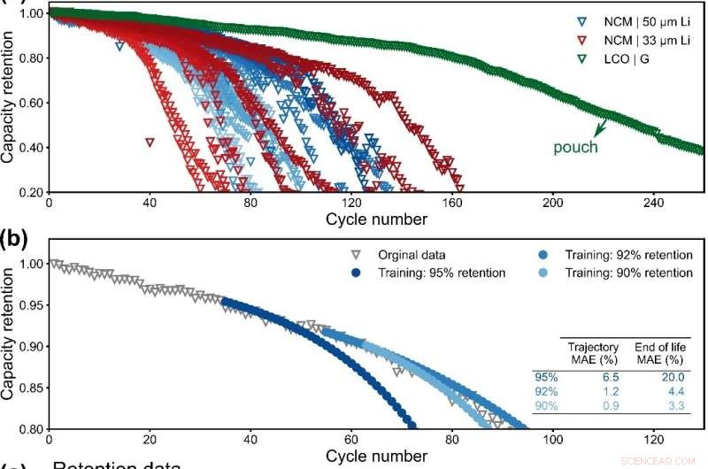 Predicting Lithium Metal Battery Capacity Degradation: A Data-Driven Approach