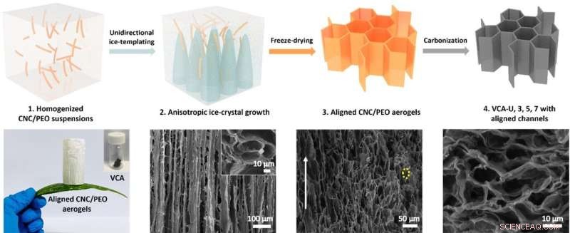Bristol Researchers  Novel Ice-Templating Strategy Enables Sustainable High-Performance Post-Lithium-Ion Batteries
