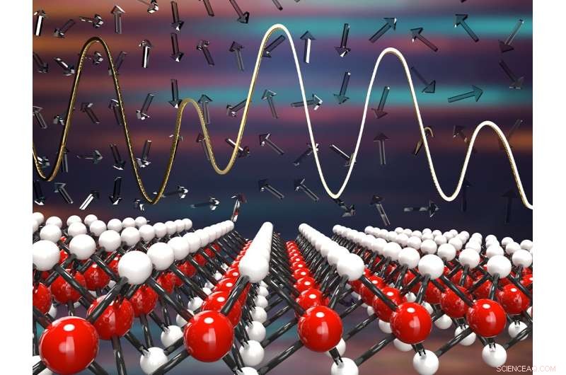 2D Materials Boost Optimization Algorithms for Complex Problem Solving