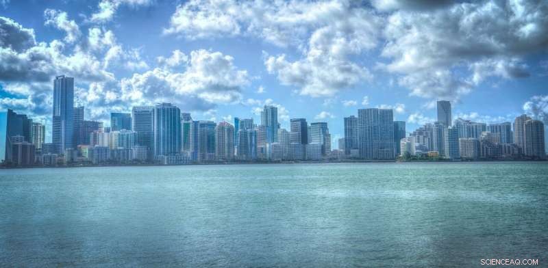 Miami s Cryptocurrency Leadership: Opportunities and Impacts for South Florida