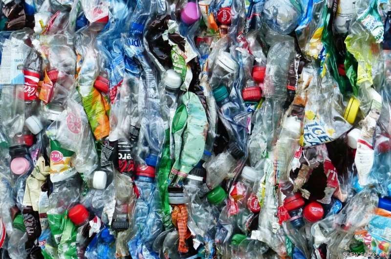 Advanced Sorting Technology Precisely Identifies 12 Plastic Polymers for Enhanced Recycling Efficiency