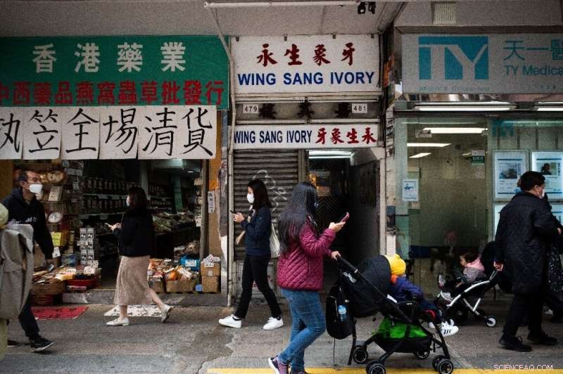 Hong Kong Enforces Landmark Ban on Ivory Sales to Protect Wildlife