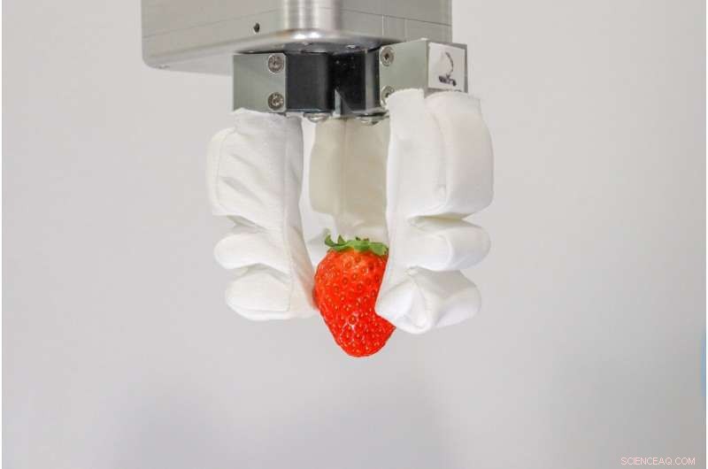 NUS Engineers Develop Reconfigurable Soft Robotic Gripper for Commercial Food Handling
