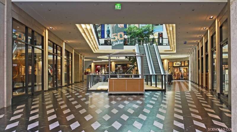 The Suburban Mall Revolution: Victor Gruen s Urban Vision and Its Ironic Legacy