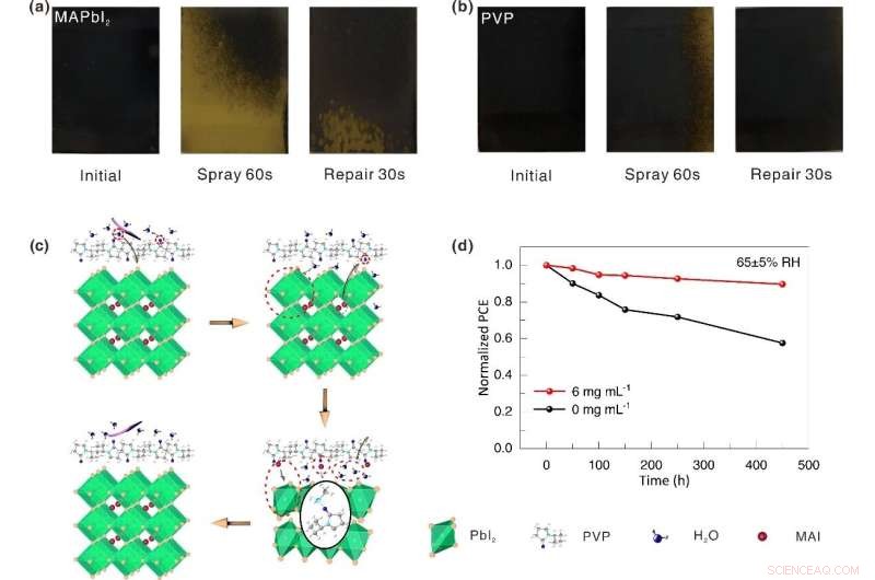 CAS Researchers Develop Moisture-Resistant Self-Healing Perovskite Solar Cell