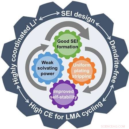 Innovative Dual Strategy Enhances Lithium Metal Anode Stability Through Li-Ion Solvation and SEI Optimization