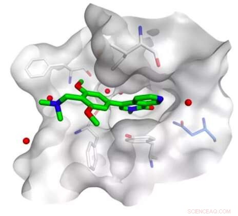 How AI is Revolutionizing Drug Discovery via Drug-Target Interaction Analysis