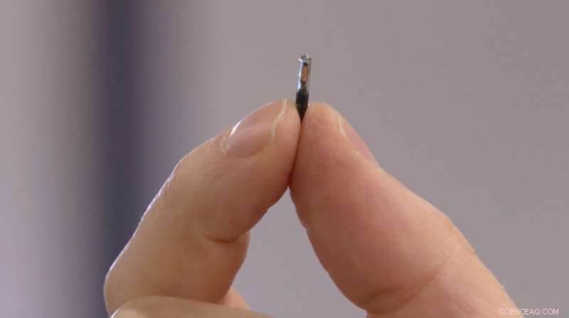Swedish Company Launches Implantable Microchips for Secure COVID-19 Health Passes