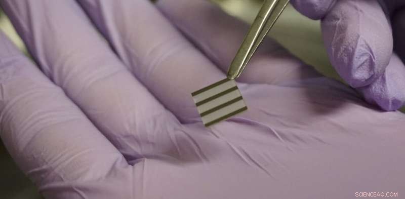 Nickel Oxide Material Shows Animal-Like Learning, Advancing AI Research Frontiers