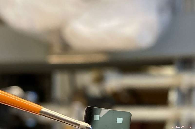 Nickel Oxide Material Shows Animal-Like Learning, Advancing AI Research Frontiers