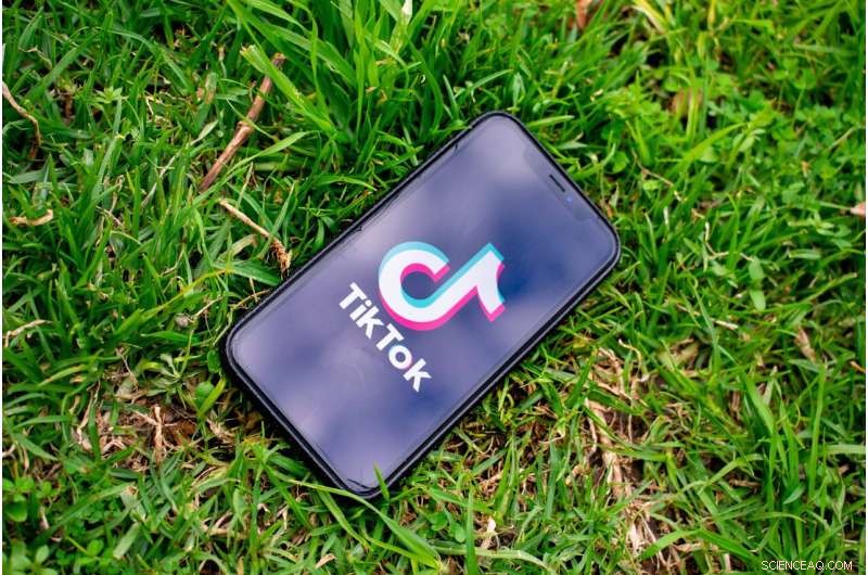 Tracking Political Misinformation and Disinformation on TikTok: Insights from Southeast Asia