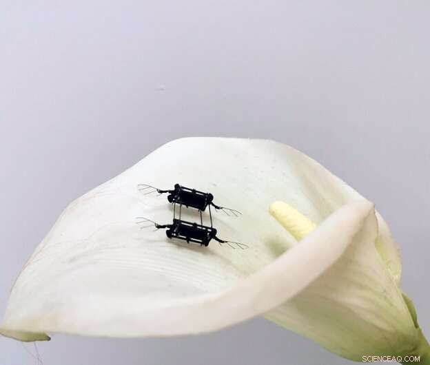 Innovative Micro Aerial Robot Powered by Dielectric Elastomer Actuators