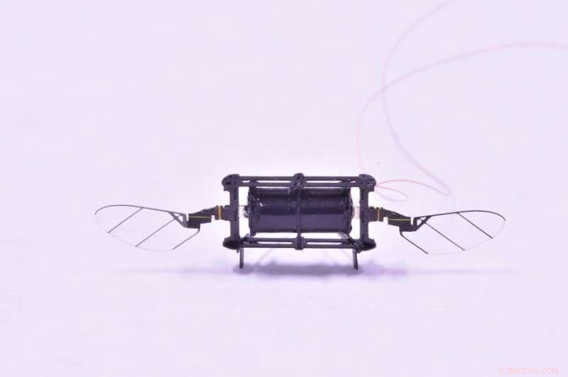 Innovative Micro Aerial Robot Powered by Dielectric Elastomer Actuators
