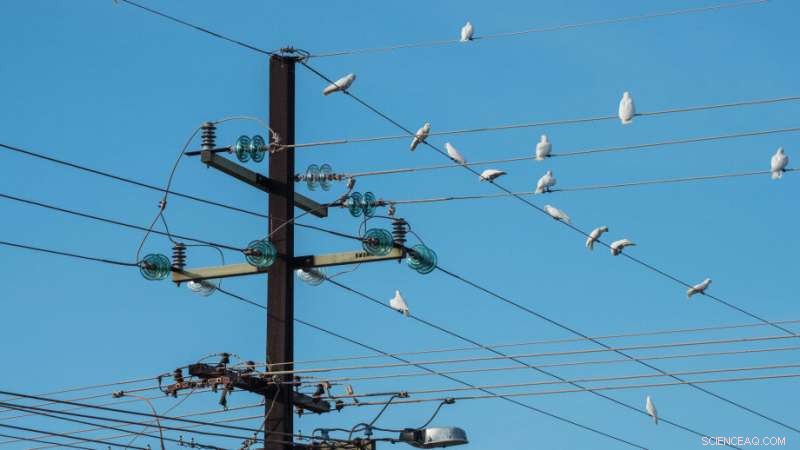 Study: Prepaid Power Disconnections Endanger Remote First Nations Communities