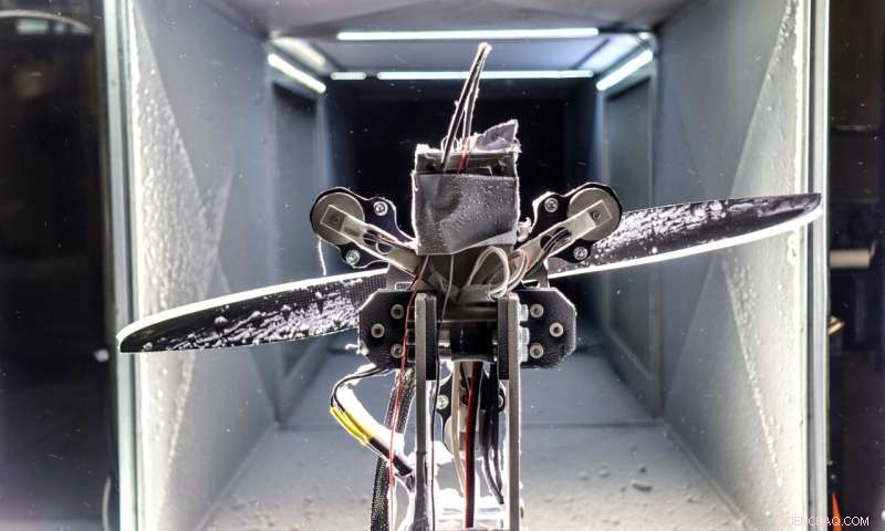 Automatic De-Icing Breakthrough: NTNU Research Enables Self-De-Icing Drone Wings