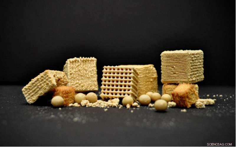 SUTD s DIW 3D Printing Innovation Upcycles Okara into Snacks Without Thickeners