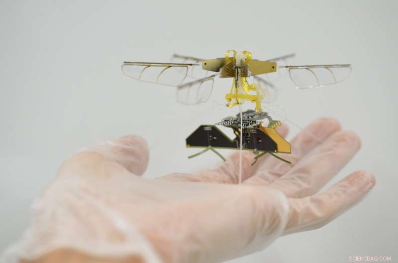 Toyota Develops Insect-Sized Flying Robot Powered Wirelessly